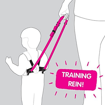 Sketch illustrating the training rein.